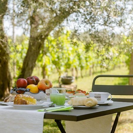 B&B Vallecupa Farnese ภายนอก รูปภาพ