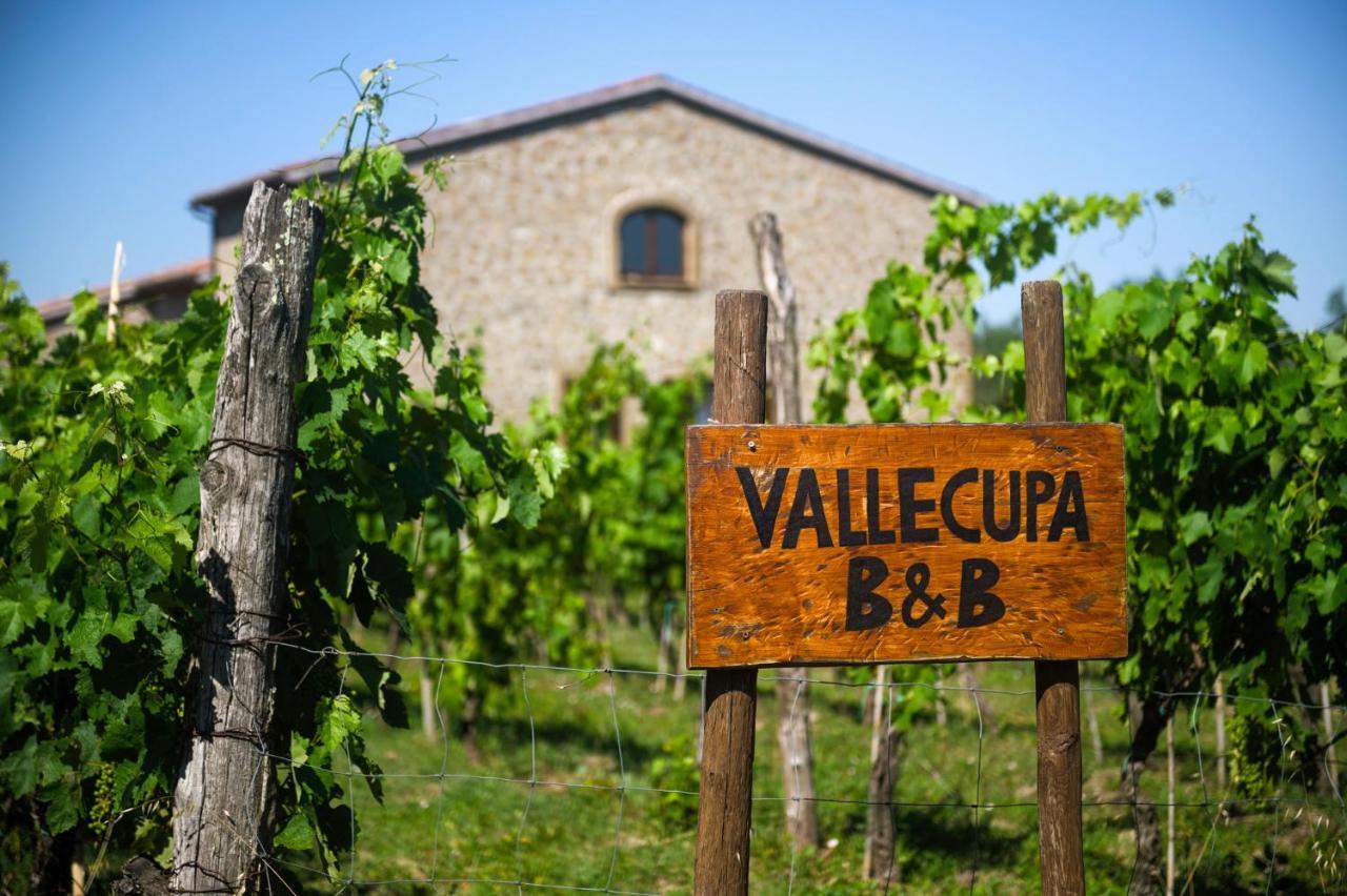 B&B Vallecupa Farnese ภายนอก รูปภาพ