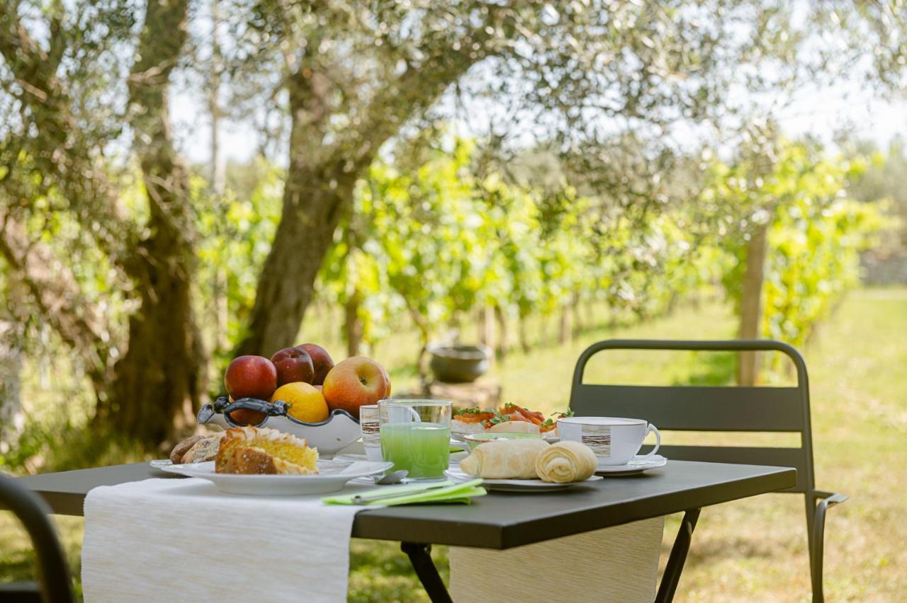B&B Vallecupa Farnese ภายนอก รูปภาพ