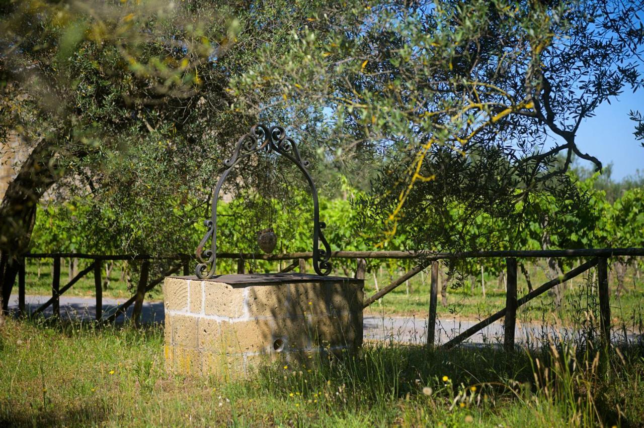 B&B Vallecupa Farnese ภายนอก รูปภาพ