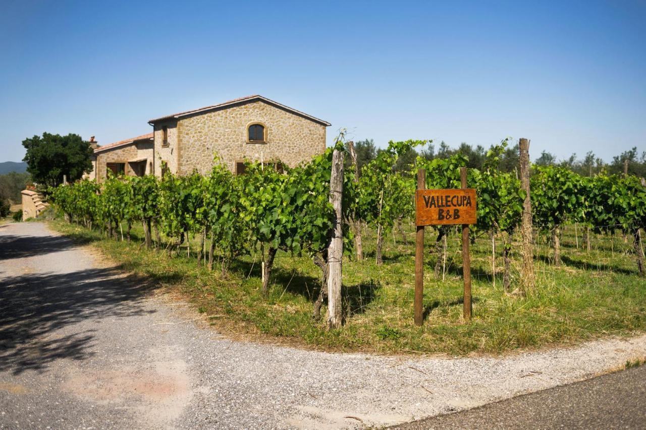 B&B Vallecupa Farnese ภายนอก รูปภาพ