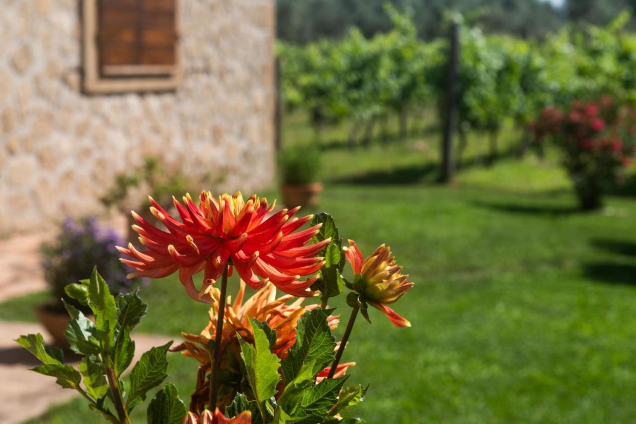 B&B Vallecupa Farnese ภายนอก รูปภาพ
