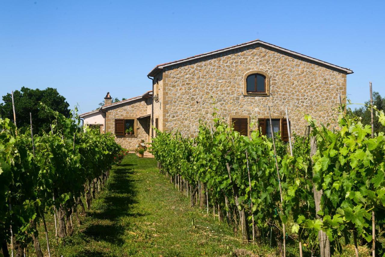 B&B Vallecupa Farnese ภายนอก รูปภาพ
