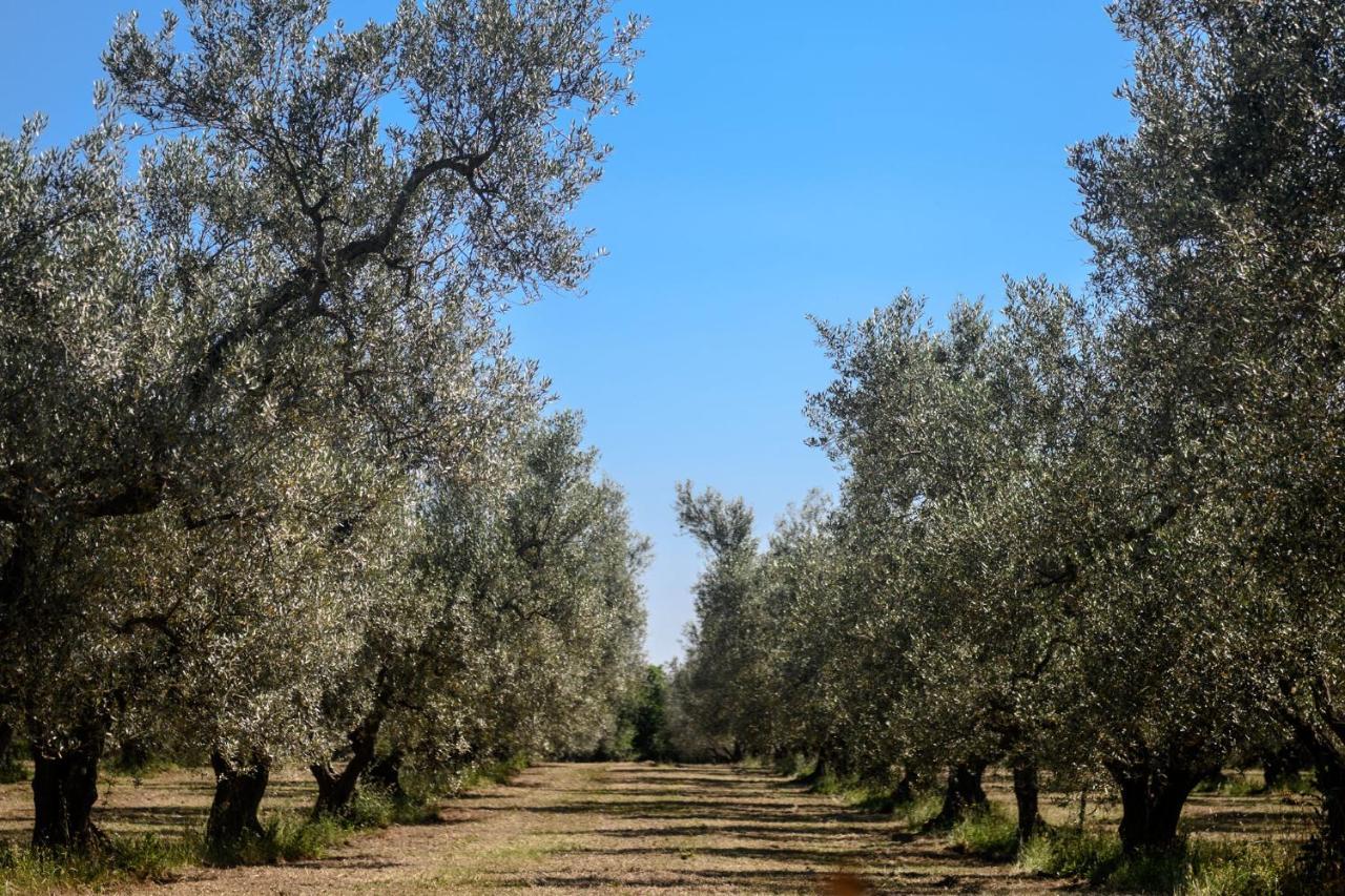 B&B Vallecupa Farnese ภายนอก รูปภาพ